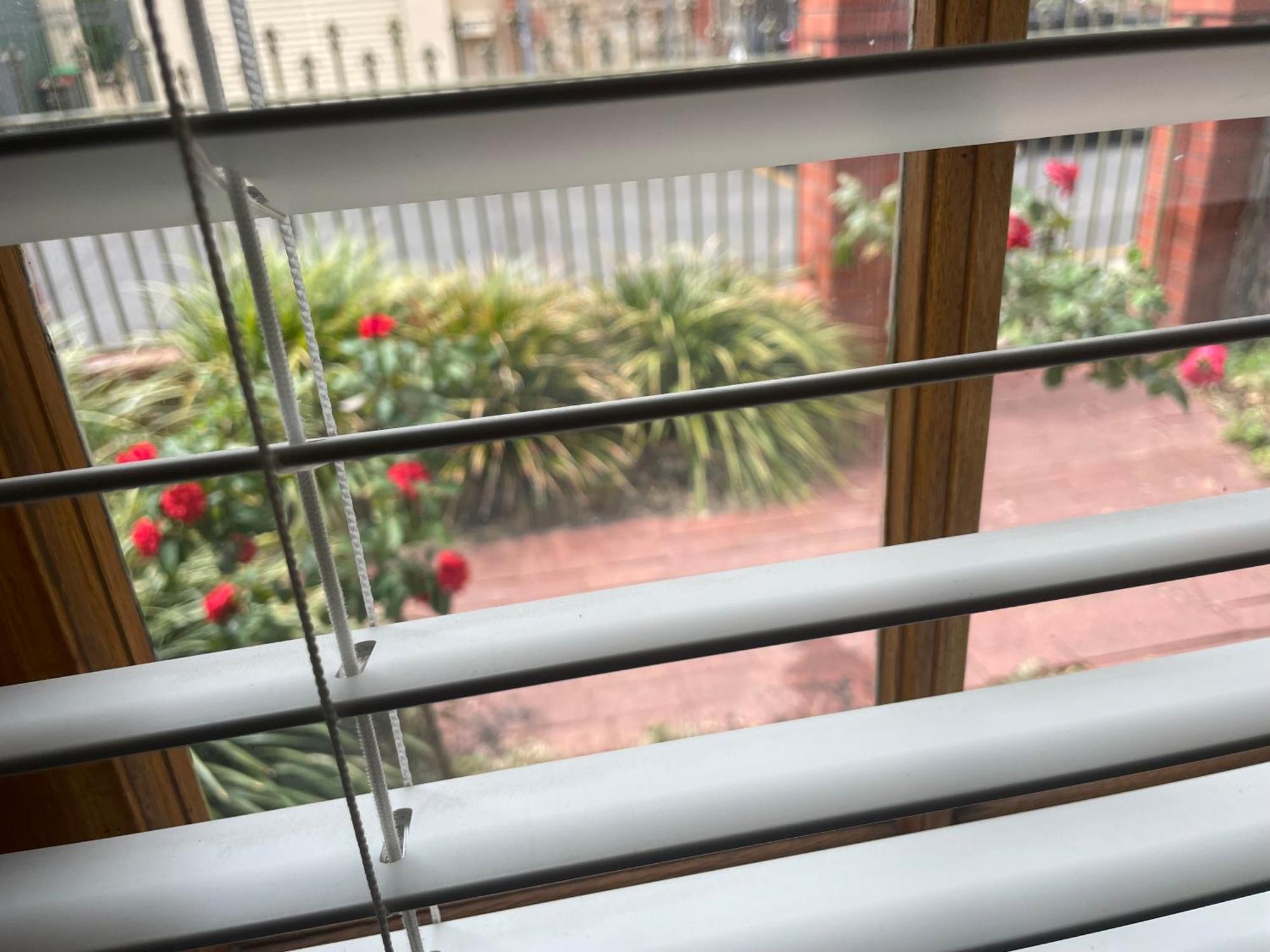Adelaide Style Accommodation-Getaway In North Adelaide- Close To City Eksteriør billede