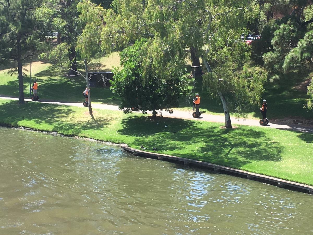Adelaide Style Accommodation-Getaway In North Adelaide- Close To City Eksteriør billede