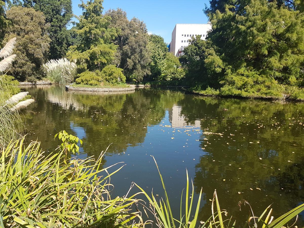 Adelaide Style Accommodation-Getaway In North Adelaide- Close To City Eksteriør billede