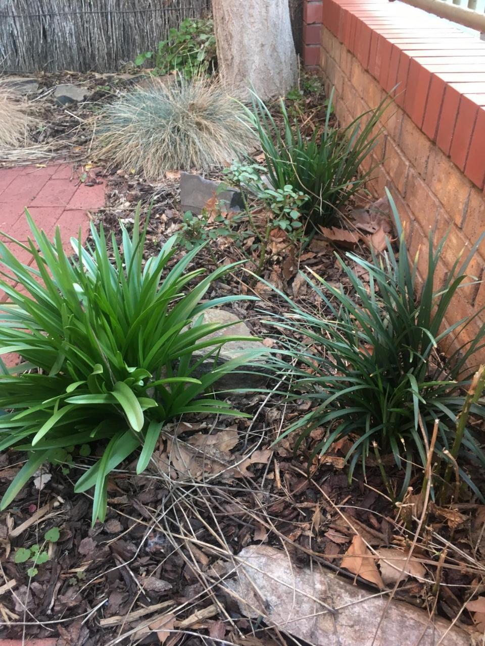 Adelaide Style Accommodation-Getaway In North Adelaide- Close To City Eksteriør billede
