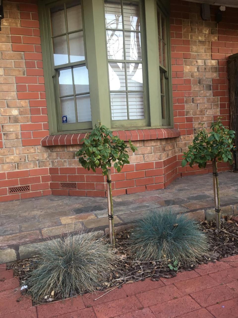 Adelaide Style Accommodation-Getaway In North Adelaide- Close To City Eksteriør billede